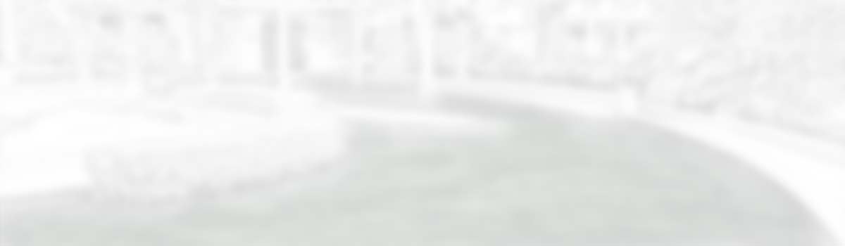 layer2-background